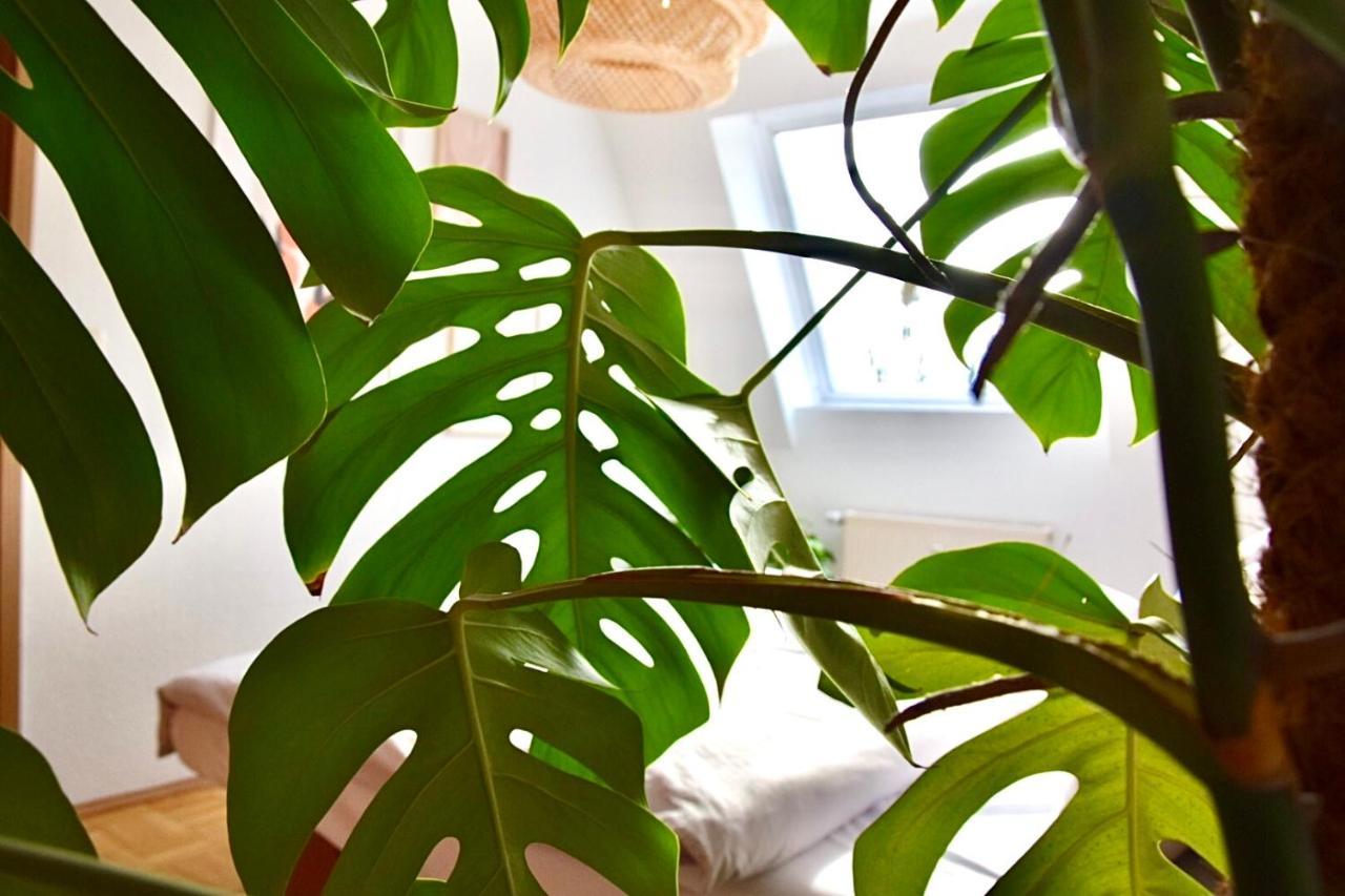 Greenbnbs: Cozy Urban Jungle In The City Centre เอสเซน ภายนอก รูปภาพ