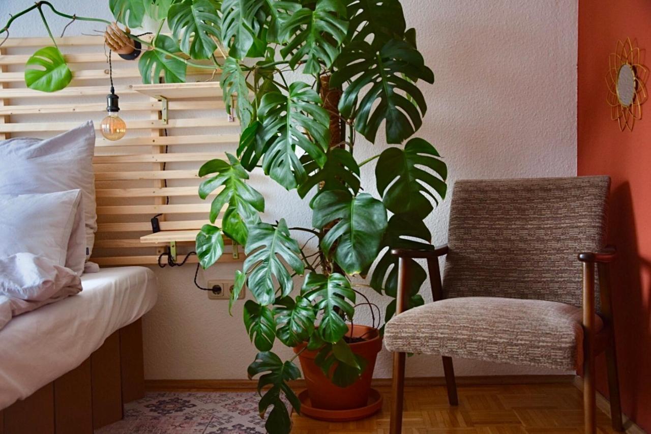 Greenbnbs: Cozy Urban Jungle In The City Centre เอสเซน ภายนอก รูปภาพ