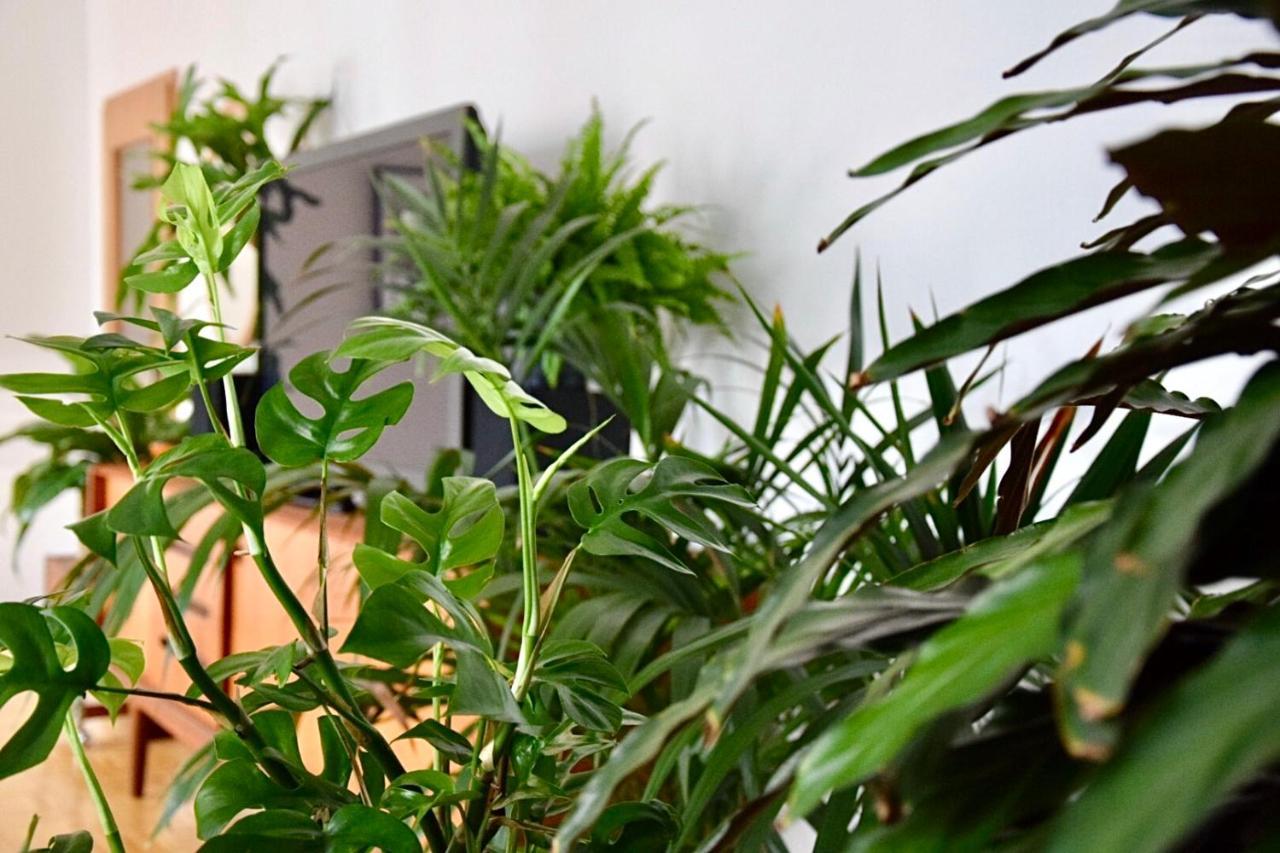 Greenbnbs: Cozy Urban Jungle In The City Centre เอสเซน ภายนอก รูปภาพ