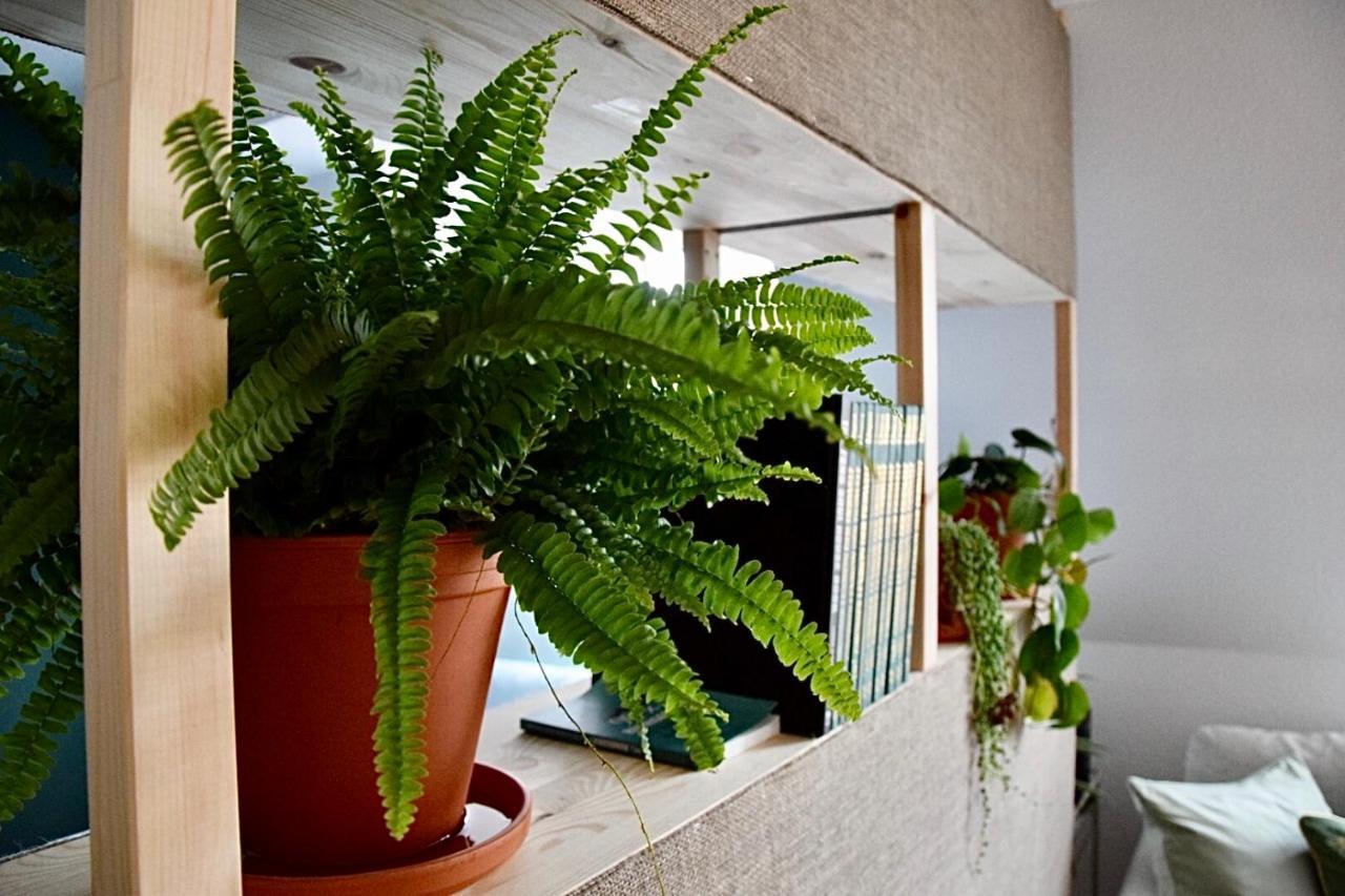 Greenbnbs: Cozy Urban Jungle In The City Centre เอสเซน ภายนอก รูปภาพ